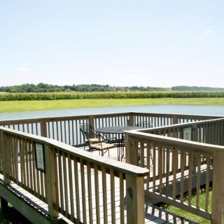 A serene wooden dock overlooking a calm lake with lush greenery in the background.