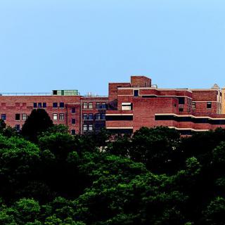 A view of a large brick building surrounded by lush greenery under a clear blue sky.