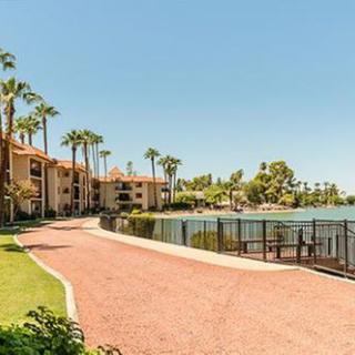 A scenic view of a lakeside walkway lined with palm trees and residential buildings under a clear sky.
