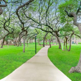 A serene pathway winds through a lush green park under a canopy of trees.