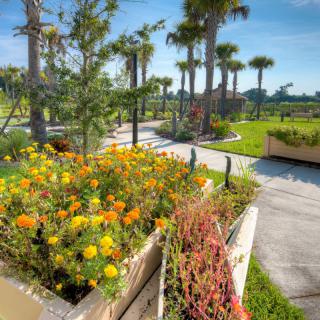 A vibrant garden with colorful flowers and a scenic walkway under clear blue skies.
