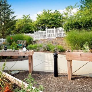 A serene outdoor garden with a pathway, lush greenery, and benches for relaxation.