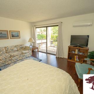 A cozy bedroom with a bed, sofa, and television, featuring a sliding glass door opening to a garden view.