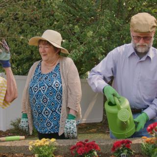 A group of mature adults gardening outdoors, wearing hats and gloves while tending to flowers.