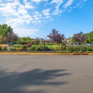 A scenic view of a road lined with trees and lush greenery under a bright blue sky with scattered clouds.