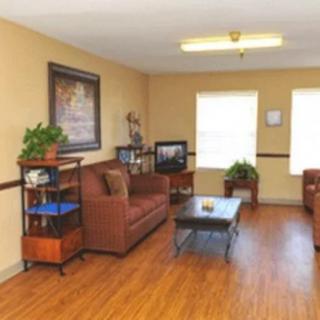 A cozy living room with sofas, a coffee table, and a television, accented by indoor plants and decor.