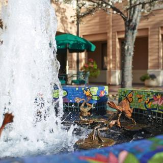 A charming fountain featuring duck statues in an outdoor public space.