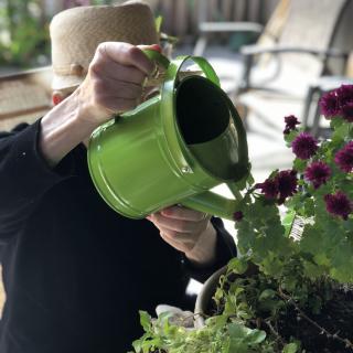 A person watering plants with a green watering can.