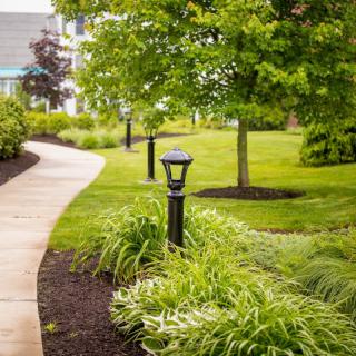 A scenic garden pathway lined with lush greenery and lamp posts.