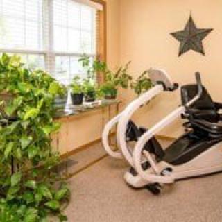 A cozy workout room with an elliptical machine and indoor plants by the window.
