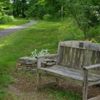 A wooden bench beside a garden pathway surrounded by lush greenery.