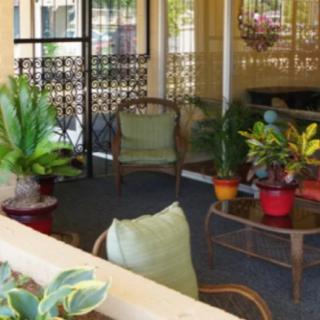A cozy patio area with potted plants and comfortable chairs.