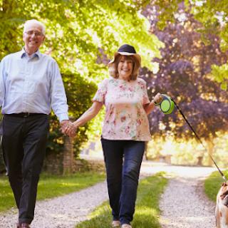 A joyful couple strolling hand-in-hand through a beautiful park with their dog.