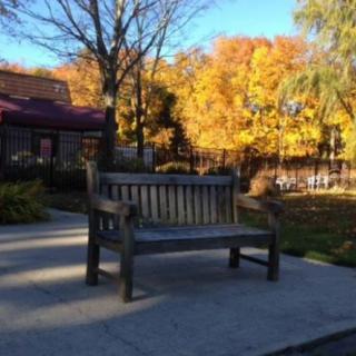 Briarcliff Manor Center For Rehab And Nursing Care