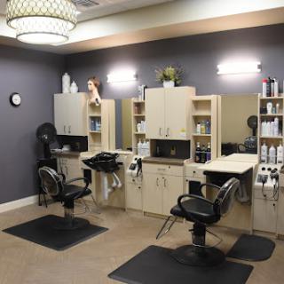 A modern hair salon featuring stylish chairs, mirrors, and a well-organized display of beauty products.