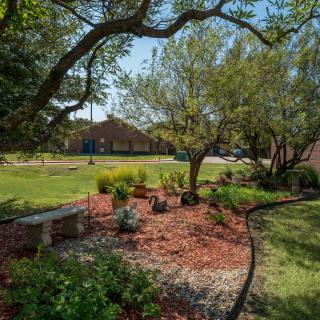 A tranquil garden with a bench surrounded by trees and landscaped greenery on a sunny day.