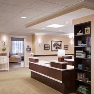 Modern reception area with a spacious desk and decorative shelving.