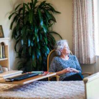 An elderly woman sits by the window in a cozy room with a bookshelf and a large plant.