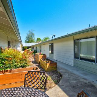 A sunny courtyard with garden beds and outdoor seating along a building walkway.