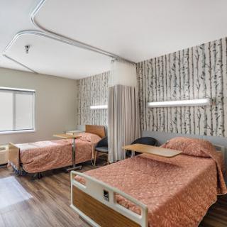 A well-appointed hospital patient room featuring two beds and a soothing interior design.