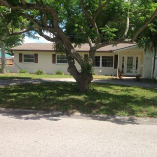 A suburban house with a large tree in the front yard on a sunny day.