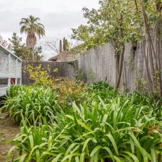 A lush garden with various green plants and trees next to a wooden fence, featuring a palm tree in the distance.