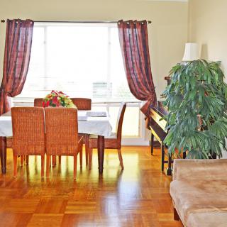 A cozy dining room with a set table, large window, and indoor plant.