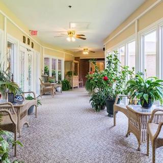 A bright hallway filled with lush green plants and wicker furniture, featuring large windows and a carpeted floor.