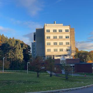 A modern building surrounded by greenery under a clear blue sky.