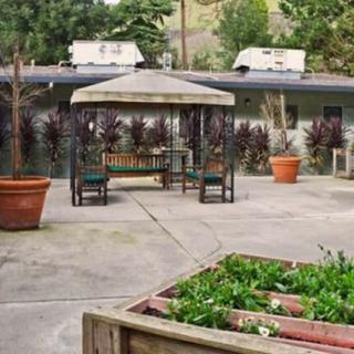 A tranquil garden patio with a gazebo and potted plants.