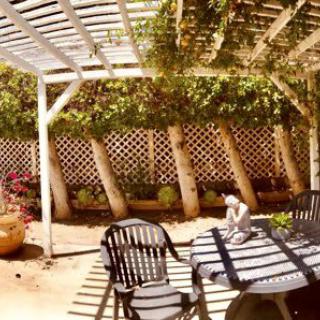 A sunny patio with a pergola, outdoor seating, and lush greenery.