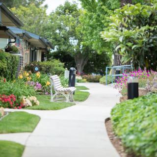 A peaceful garden pathway lined with vibrant flowers and a bench under lush greenery.