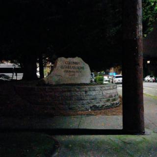 A street sign on a stone at night, partially obscured by a tree and power line.