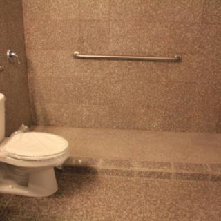 An accessible bathroom featuring a toilet, shower area, and handrail.