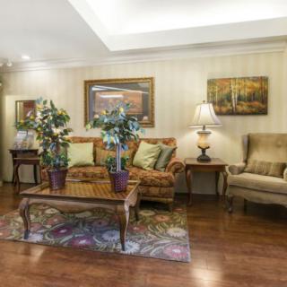 A cozy living room with a sofa, armchair, coffee table, and decorative elements such as plants and artwork.