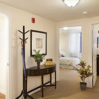 A cozy and well-decorated hallway showcasing home furniture and plants.