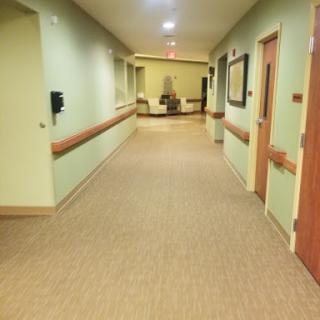 A well-lit hospital hallway featuring green walls and carpet, with doorways leading to patient rooms.