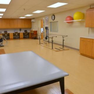 A spacious physical therapy room equipped with parallel bars and therapy balls.