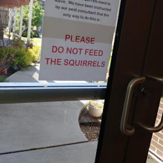 A sign advising visitors not to feed the squirrels.