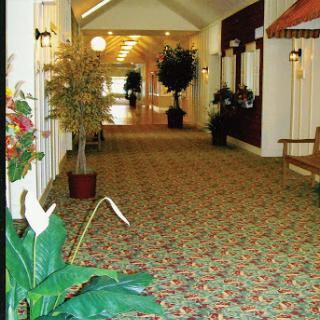 A well-decorated indoor hallway featuring plants and a patterned carpet.