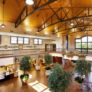 A spacious library interior with large windows, wooden floors, and several indoor plants.