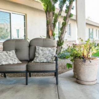A cozy outdoor seating area with cushioned chairs and a potted plant on a patio.