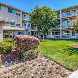 A well-maintained apartment complex with landscaped lawns and shrubs.