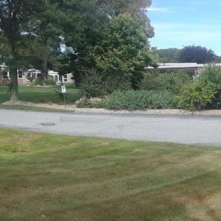 A peaceful outdoor scene featuring a road, trees, and a grassy area.