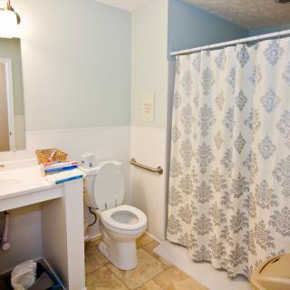 A clean and organized bathroom featuring a toilet, sink with a mirror, and a shower with a patterned curtain.