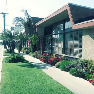 A well-maintained property featuring a vibrant garden and a modern architectural design.
