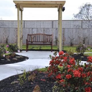 A serene garden with a wooden bench under a pergola, surrounded by vibrant flowers and a winding pathway.