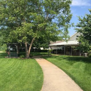 A sunny outdoor scene with a pathway leading through grass and trees towards a building.