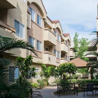 A view of a residential apartment complex with well-maintained landscaping and palm trees.