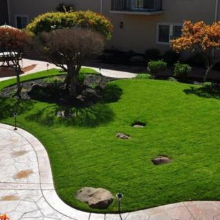 A beautifully landscaped garden featuring a lush green lawn with scattered rocks and well-maintained trees.